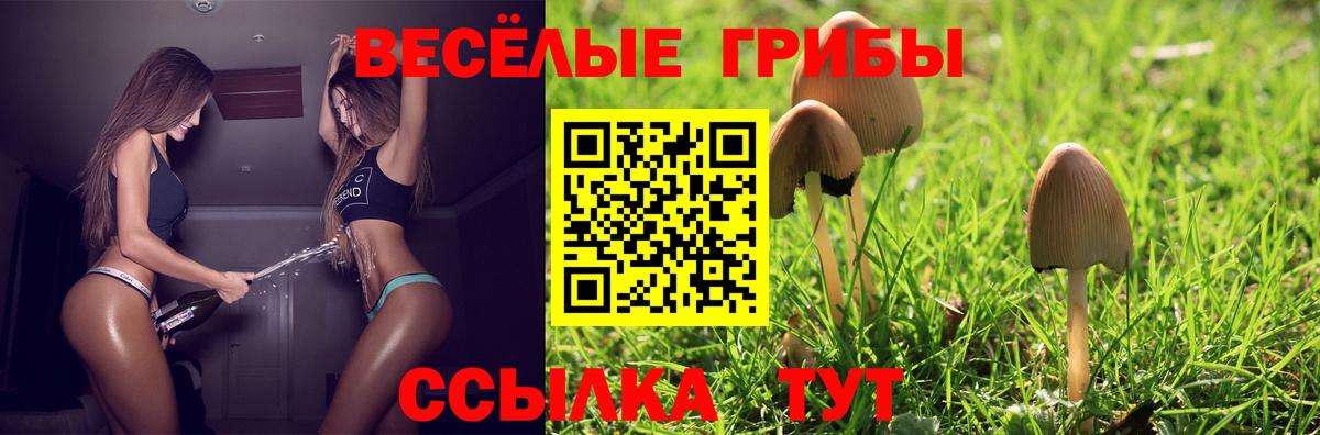 Галлюциногенные грибы мухоморы Изобильный